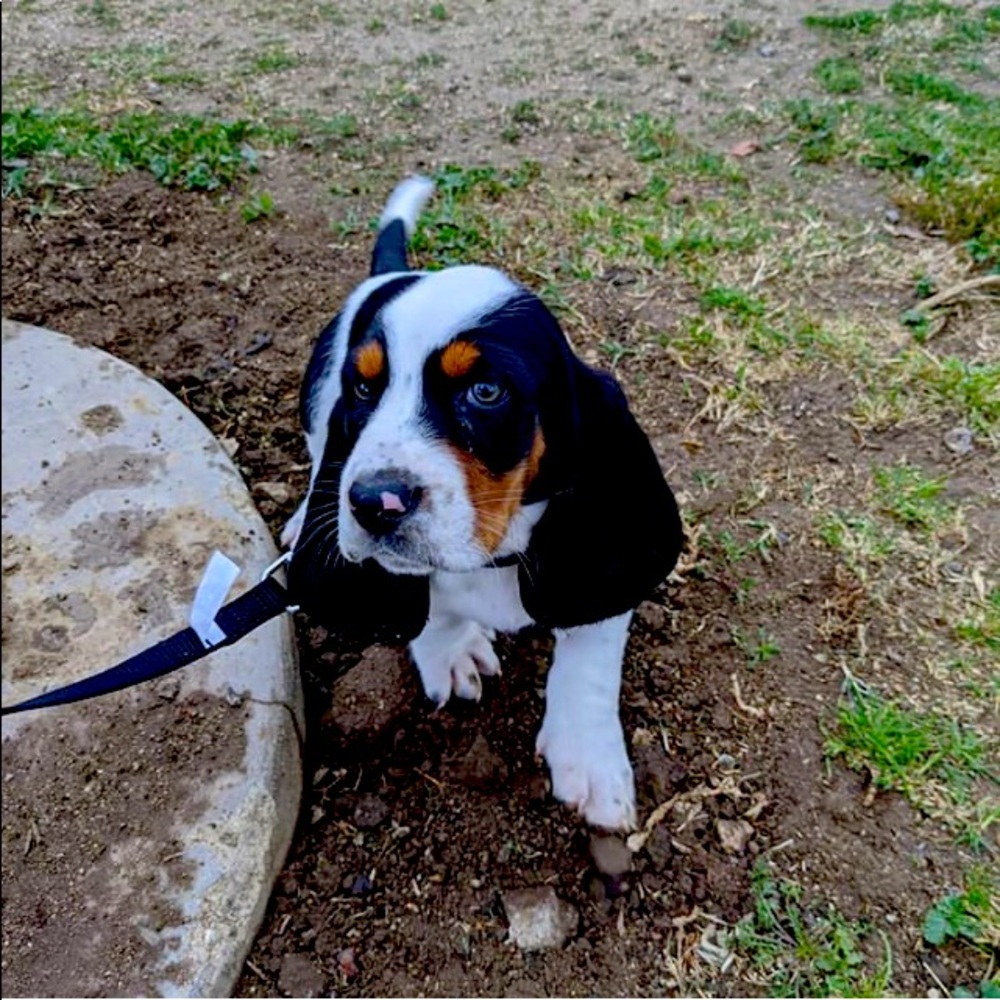 Meet your Posher, Brian